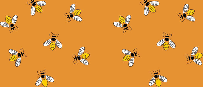 Abeilles